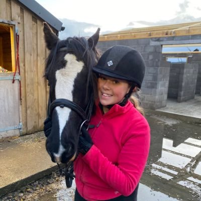 Love horses 🐎
Luther ❤️
Flynn 💙