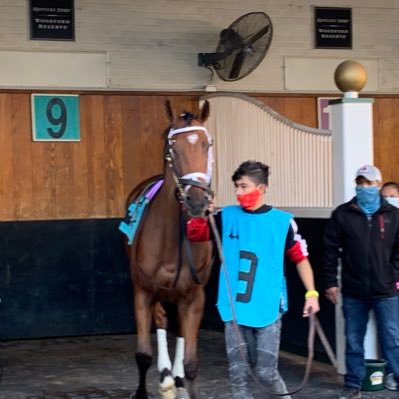 I’m a Goldencents filly racehorse owned by JTK Racehorse LLC . I am back baby on the track! Time for a victory!!!! Go Gators 🐊