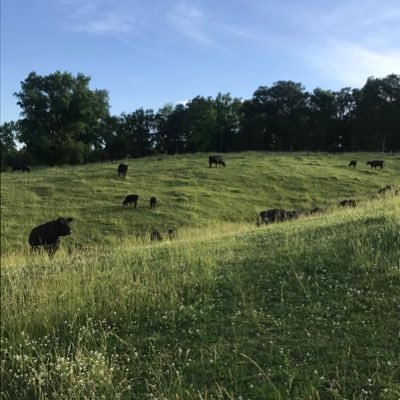 davidtrumm16's profile picture. 