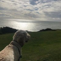 Kerry Evans (@kerryev81) 's Twitter Profile