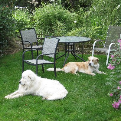 REAndersen3's profile picture. I am not a Democrat.