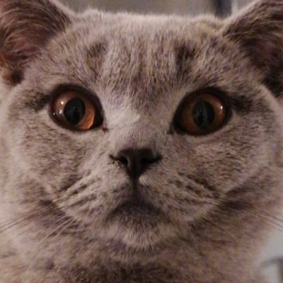 leahy235's profile picture. 