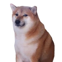 h3x (@cap_aio) 's Twitter Profile Photo h3x (@cap_aio) 's Twitter Profile Photo