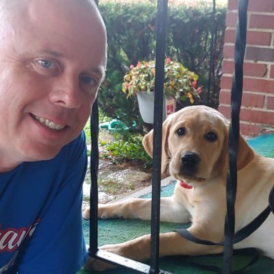 glillis8's profile picture. 