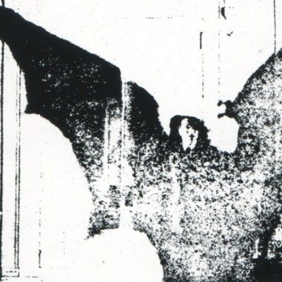 batastrophe's profile picture. "Death has nothing to do with going away. The sun sets and
the moon sets, but they're not gone". Rumi 
☥ UNDEAD ☥ Ignore The Machine ☥ Resurrection ☥ Batcave ☥