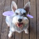 Kate Rutherford - @Kate_TBug - Twitter