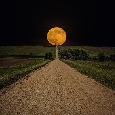 SoliloquyNz's profile picture. A childhood on a dusty shelf where the broken ones sit, lost without a voice. 
Every breath I take sans your permission raises my self-esteem #EnoughisEnough