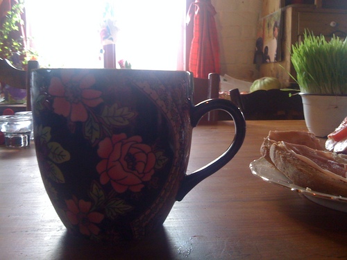 jane_gaoya's profile picture. We all live in different places,but we all walk along togetherC.P.Estes
♥Nature-Cats-Tea-Literature-Wanderer-Sinologist-Soul Searcher-Meaning of Life Ponderer