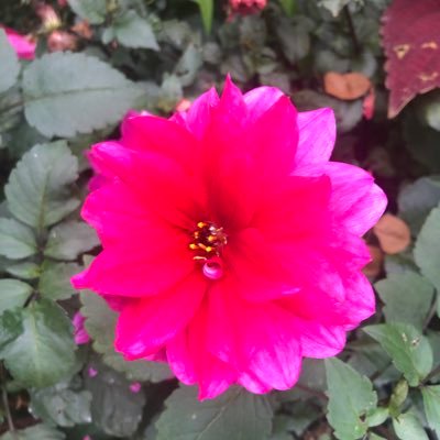 カーシャー 渋沢あきさん 以前に芝彰子で活動していたっぽい ムヒバストップケアcm女優は誰 名前やプロフィールは 渋沢あき バストップケア ムヒ 池田模範堂 芝彰子 Cm T Co Fyd2qoaxuc カーシャー 渋沢あきさん 以前に芝彰子で活動していたっぽい ムヒバストップケアcm女優は誰 名前やプロフィールは 渋沢あき バストップケア ムヒ 池田模範堂 芝彰子 Cm T Co Fyd2qoaxuc