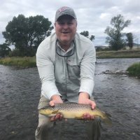 Brian Christensen (@metahusker1) 's Twitter Profile