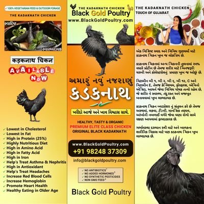 Kadaknath Chicken in Vadodara Gujarat, બ્લેક ગોલ્ડ પોલ્ટ્રી -  કડકનાથ બ્લેક ચીકન. ખરીદો આજે અને ખાવ વિશ્વાસ સાથે. https://t.co/gTfILo2WWH