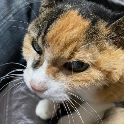 ゆ香さんのプロフィール画像