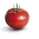 Sharon MacGregor - @CoastalFruitbat - Twitter