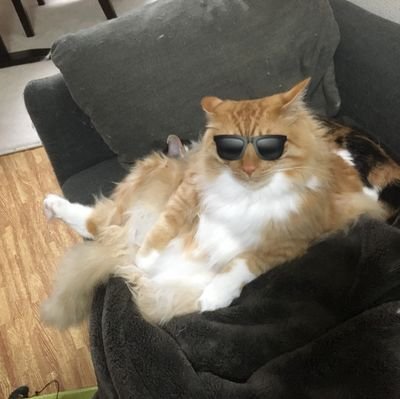 Mi71103314's profile picture. 