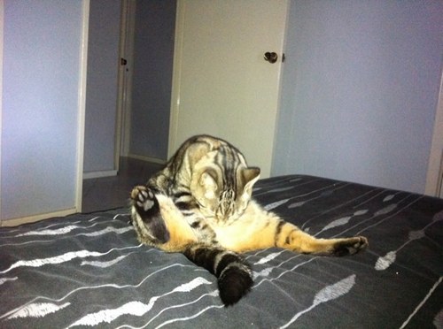 kenomes's profile picture. Krumping specialist