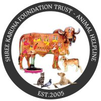 Karuna Foundation Trust - Animal Helpline Rajkot(@karunatrust_rkt) 's Twitter Profile Photo