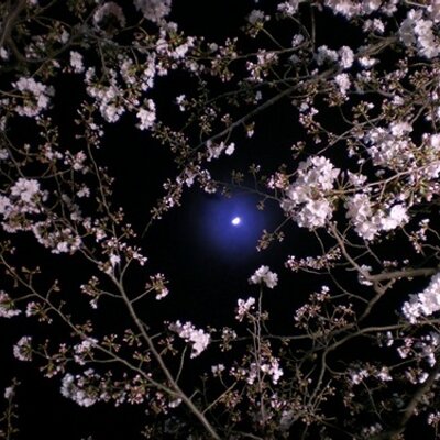 加藤清四郎 Fujikens Twitter