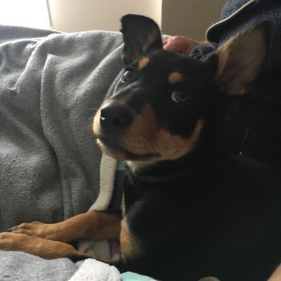 Joel190307's profile picture. 