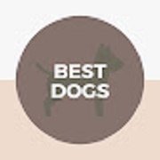 discover the best dogs here
