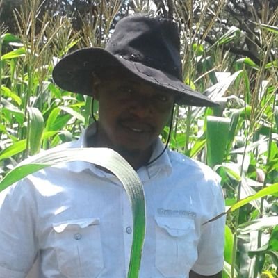 Farmer in Kezi..Passionate about Farming,
Talk farming  we b Friends,
Start Farming we b relatives,
all men earn peanuts, it's up to you to eat or plant them