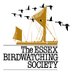 Essex Birdwatching Society (@EBwSTweets) Twitter profile photo