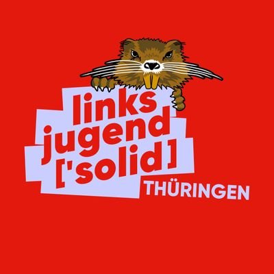 Demokratischer, sozialistischer und antifaschistischer Jugendverband in Thüringen
 ✊🚩 | parteinah @die_linke_th