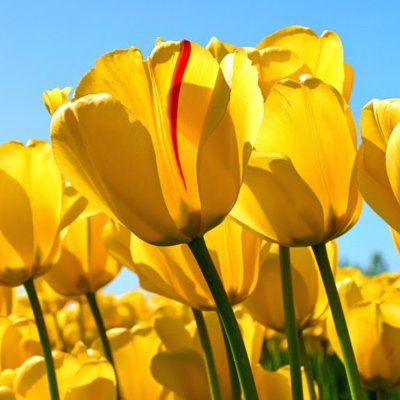 marybakers's profile picture. 