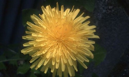 原田和幸 Haradakazuyuki Twitter