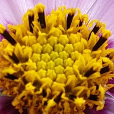 j2roun's profile picture. 