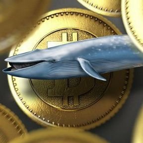 1R1D1UM1's profile picture. #Bitcoin #Blockchain $BCCX #Translator
Not financial advice!

#BitconnectX

XLgq6tHhuwWfqHwehLF3LANKiwSLJZdFMn


#Bitconnect

8YbBUdS5327XvcKDidy1fL6PAWbkScCpFr