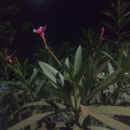 jayc5484's profile picture. 