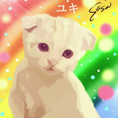 nyans11208245's profile picture. 5ニャンズと楽しく暮らしてます😸 猫ちゃん大好き❤ B’z大好き🤘オリックスバファローズ応援してます📣