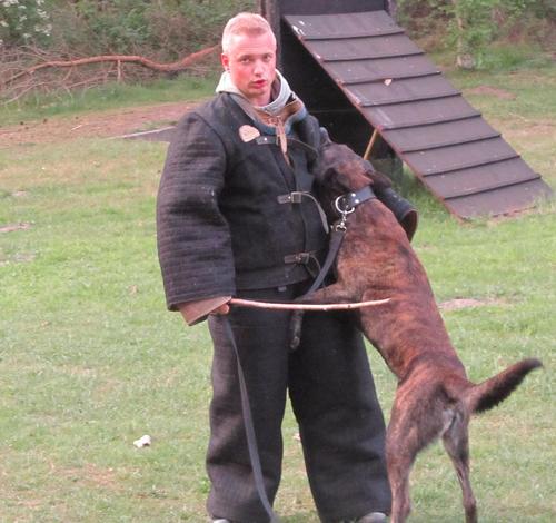 hertog_jan Profile Picture
