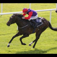 Prospect Stables (@prospectstables) 's Twitter Profile