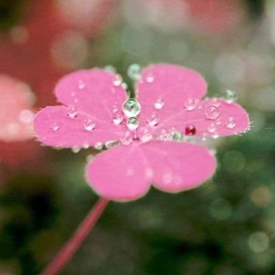 *Mọi thứ đều tươi đẹp nếu con mắt bạn luôn tràn ngập ánh sáng*