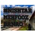 Nishtar Mehfooz Banao (@NishtarMehfooz) Twitter profile photo