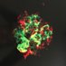 Mastracci Lab (@mastraccilab) Twitter profile photo Mastracci Lab (@mastraccilab) Twitter profile photo