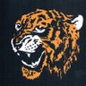 blackdogtiger's profile picture. Born during great, reforming Attlee government so enjoyed unprecedented levels of healthcare and education; saddened my descendants will not receive the same.