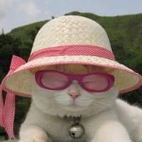 El neneConsentido (@harisersa) 's Twitter Profile