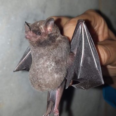 G00dd4ysszahead's profile picture. 🪂