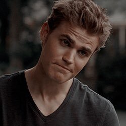 stefan salvatore archive | 1.01-8.16