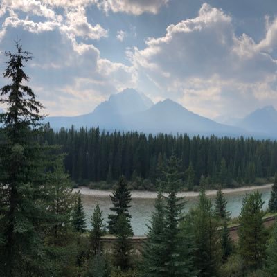 Nora98199493's profile picture. 