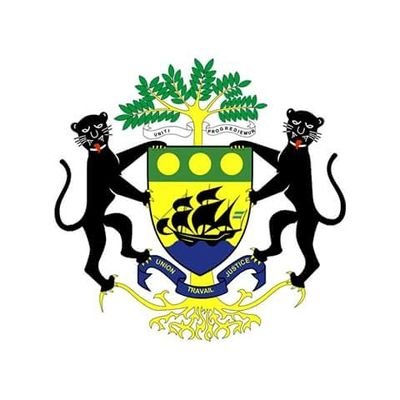 Data analyst