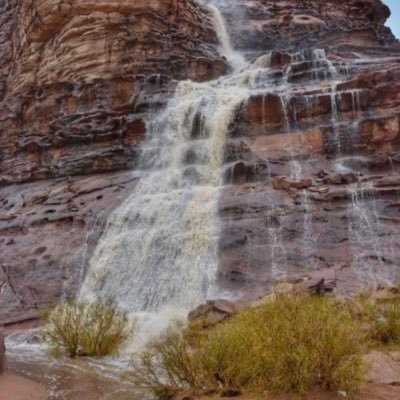 sultan4342's profile picture. 