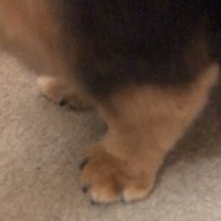 MIKAKO HOMMA (@epoeste) 's Twitter Profile
