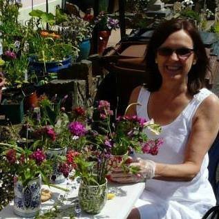 ChaplinSyvila's profile picture. Loves family, friends, gardening and gardens, trees, rivers, cities, Italy and India, quiet autumn afternoons, long sunny summer days, history, a good book