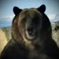brian (@bigdh80) 's Twitter Profile