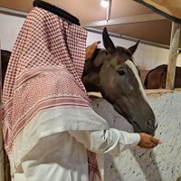 ๐ดnassar_ay (@ay_nassar) 's Twitter Profile