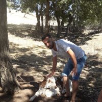 yusuf anuşރ (@anus_yusuf) 's Twitter Profile