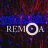 REMOABioimaging's profile picture. REMOA promotes knowledge transfer and collaboration between bioimaging microscopists, developers, scientists and analysts

@remoabioimaging.bsky.social